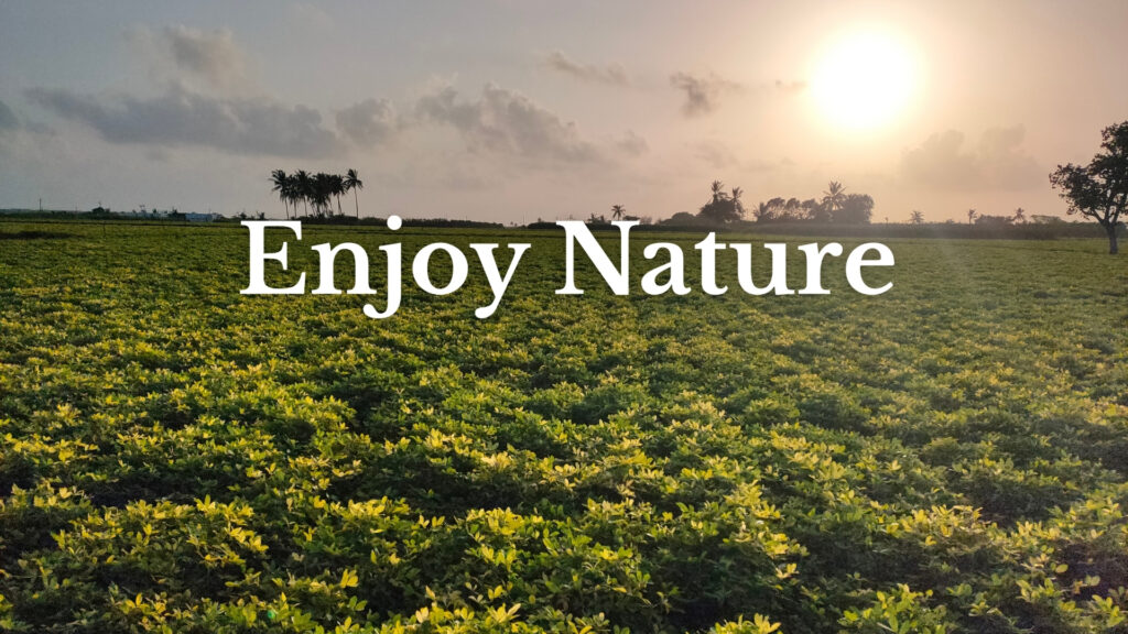 Eco-luxuxry Living